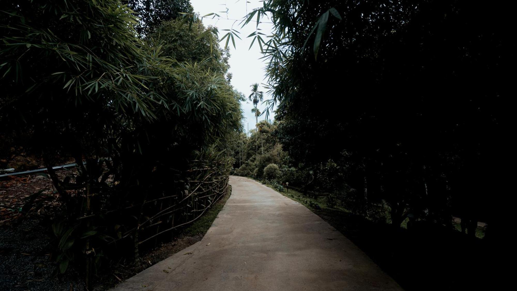 Vythiri Holiday Resort, Wayanad 外观 照片