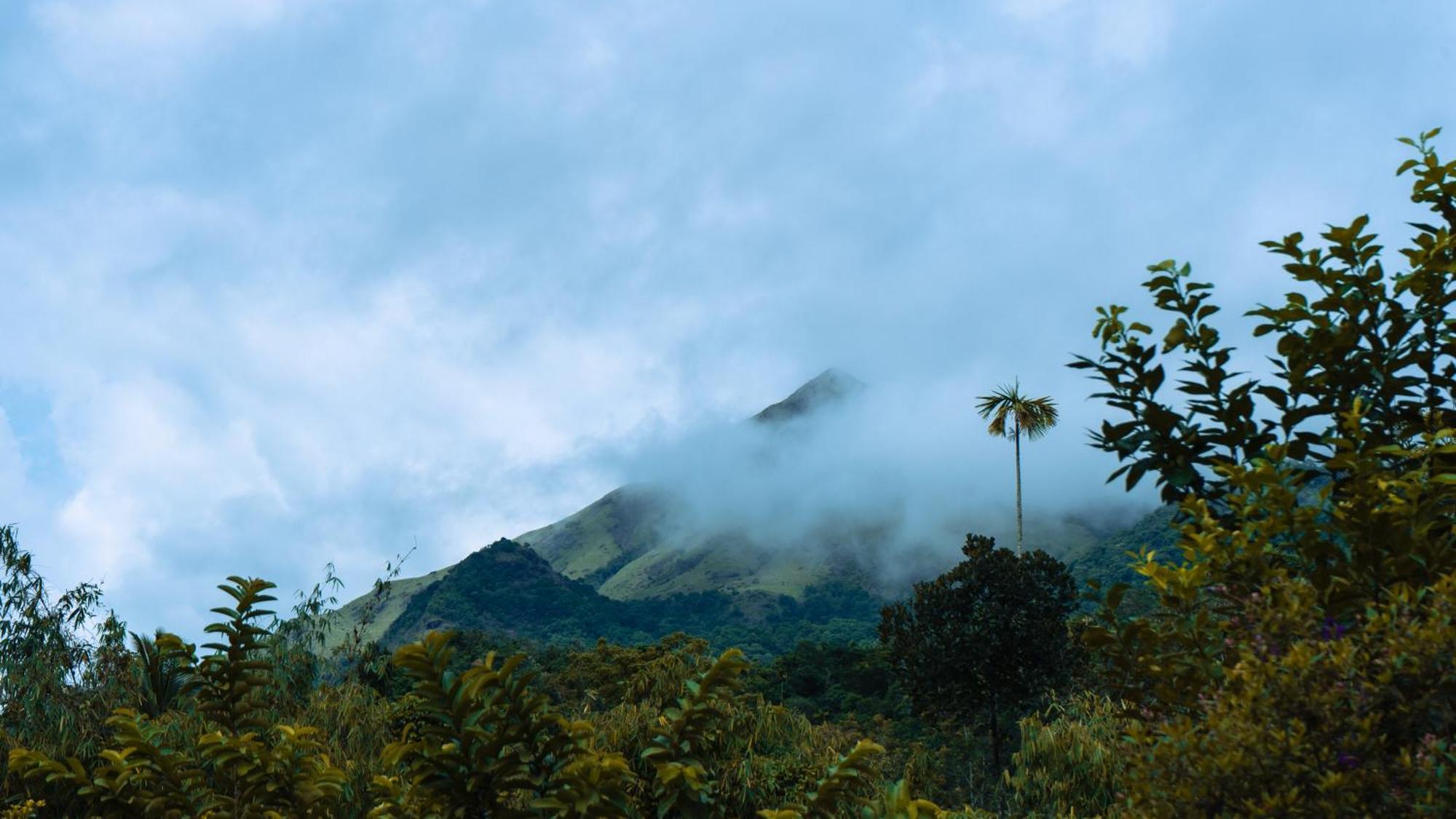 Vythiri Holiday Resort, Wayanad 外观 照片