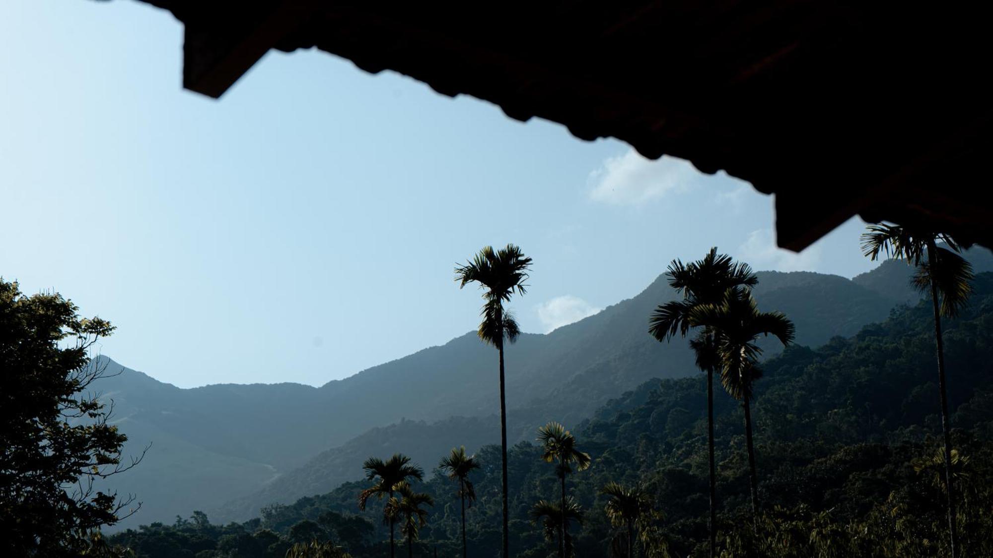 Vythiri Holiday Resort, Wayanad 外观 照片